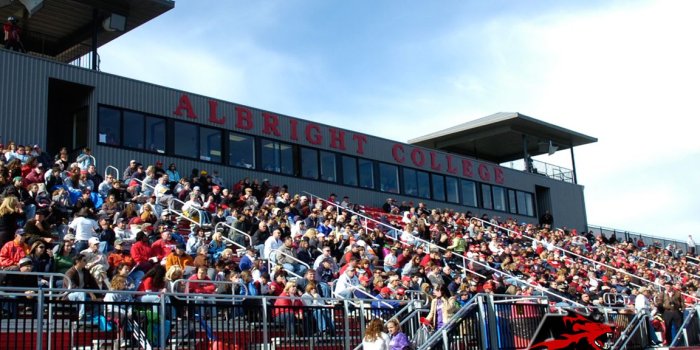 1152x864 Lion Desktop Wallpapers - Albright College Athletics
