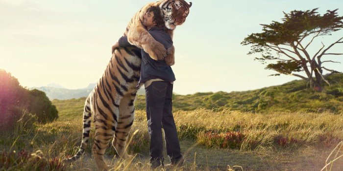 1920x1200 Wildlife HD Wallpapers Backgrounds Wallpaper 1920x1200