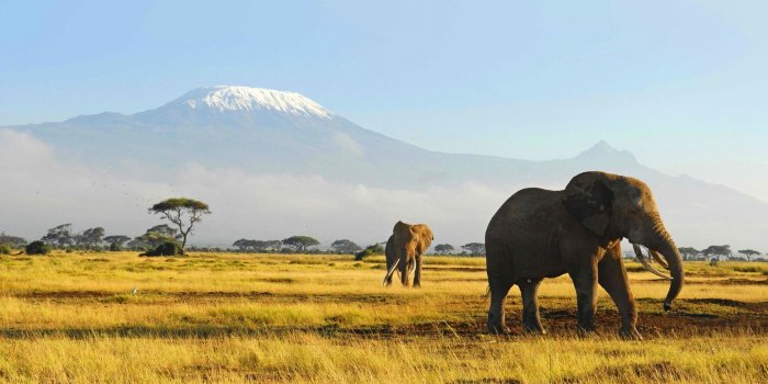 1920x1200 Wildlife s wallpaper | 1920x1200 | #75164