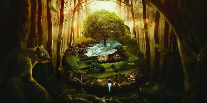 1920x1200 Wallpaper 4k Jungle Wildlife Jungle, Moon, Wildlife