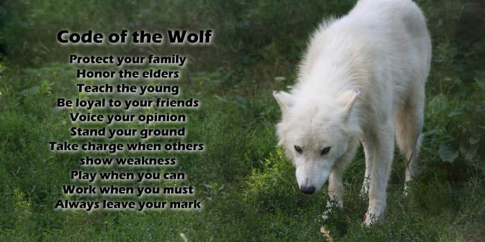 2560x1440 4805 Wildlife HD Wallpapers | Background Images