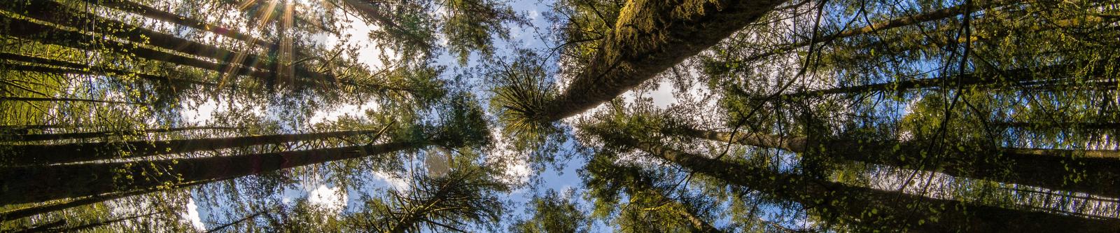 5040x1050 5760 x 1200 eyefinity wallpaper 30 + wallpaper Collection