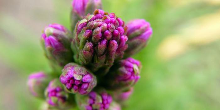 1920x1200 Featured Wallpapers - Windows Help