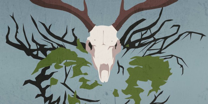 2160x3840 Gwent / Witcher Mobile Wallpapers - Album on Imgur