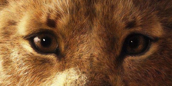 1080x2160 Simba, The Lion King, 2019 movie, 1080x2160 wallpaper | Absolutely