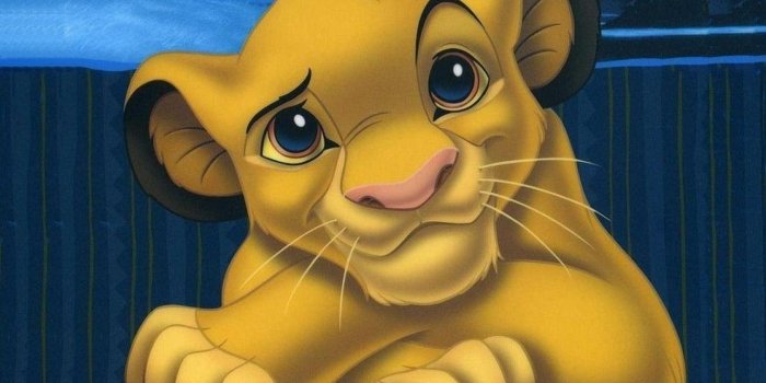 1366x1024 Lion King Simba Wallpapers