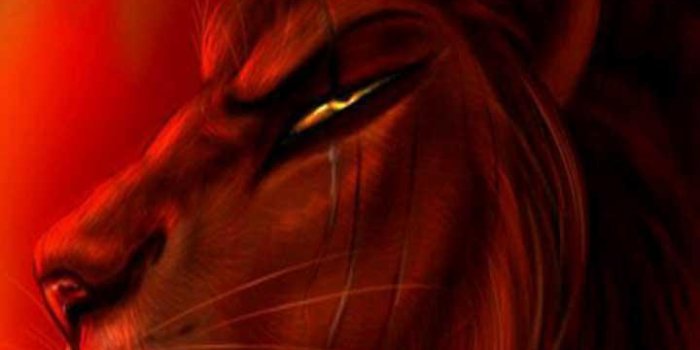720x1280 Simba Wallpaper HD for Android - APK Download