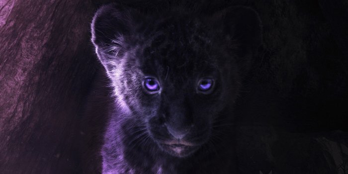 4000x2250 Simba Fan Art 4k Ultra HD Wallpaper | Background Image | 4000x2250