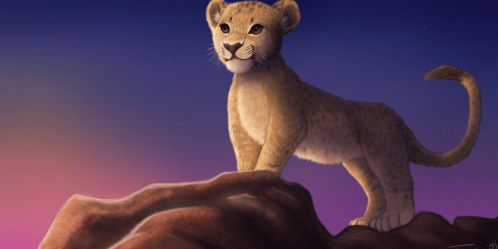 3000x1680 40+ Simba HD Wallpapers and Backgrounds