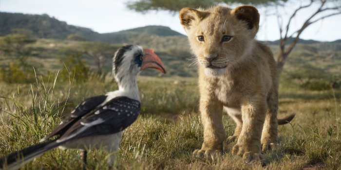 4000x2331 The Lion King Simba 4k, HD Movies, 4k Wallpapers, Images