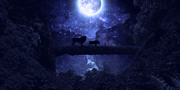 3840x2160 Lion King 4K Wallpapers - Top Free Lion King 4K Backgrounds