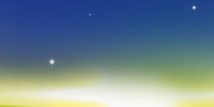 875x1600 18721 simba wallpapers