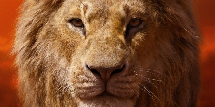 3376x1899 Donald Glover As Simba The Lion King 2019 4k, HD Movies, 4k