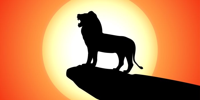 6667x5000 5054249 The Lion King (2019), Simba wallpaper and background | Movie