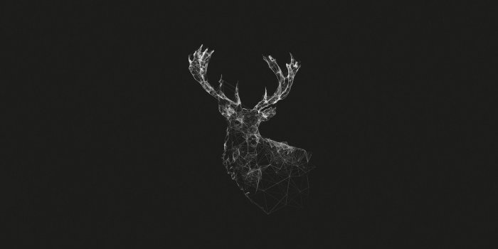 1920x1080 Digital Deer : wallpapers