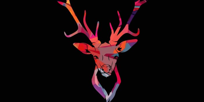 2160x3840 Deer is colorfull | Wallpaper in 2019 | Animal print wallpaper, Deer