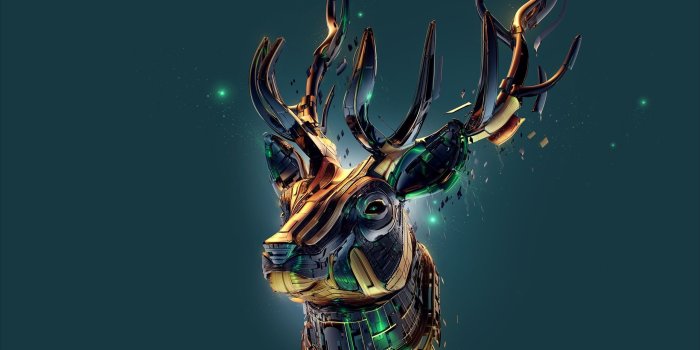 2560x1440 67+ Deer Wallpapers on WallpaperPlay