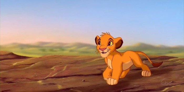 1217x720 Free download Simba images Simba HD wallpaper and background photos