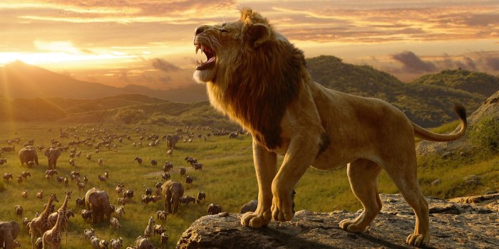 3840x2160 Simba in The Lion King 4K Wallpapers | HD Wallpapers | ID #28955