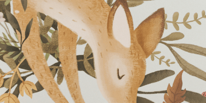 1080x1080 Oh Deer Wallpaper Mural