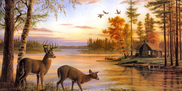 2261x1516 67+ Deer Wallpapers on WallpaperPlay