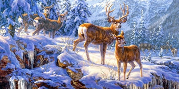 1280x800 Gathering Of Deer wallpapers | Gathering Of Deer stock photos