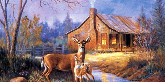 1280x960 Brian - deer wallpapers,deer wallpaper,whitetail deer wallpaper,deer