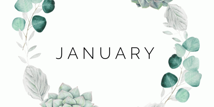 1154x2048 January iPhone Wallpaper 2018 | Dress Decoded