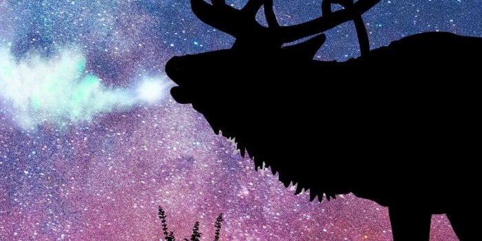 1080x1920 Download wallpaper 1080x1920 deer, silhouette, galaxy, stars samsung