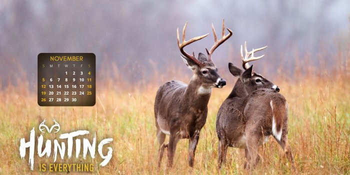 2560x1440 Realtree Deer Wallpaper ·① WallpaperTag