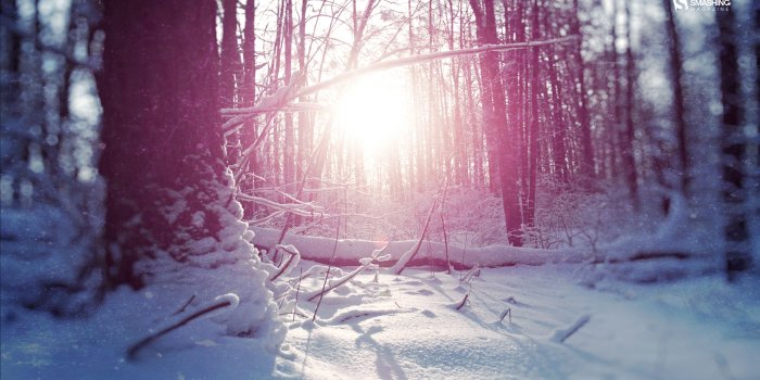 2560x1440 Desktop Wallpaper Calendars: January 2014 — Smashing Magazine