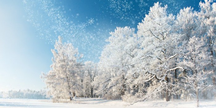 1920x1080 60+ January Winter Desktop Wallpapers - Download at WallpaperBro