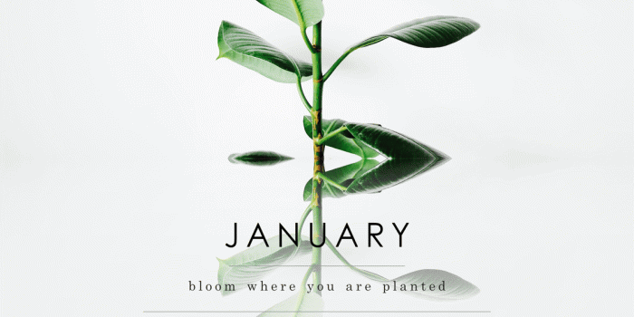 1125x2000 FREE January 2019 Wallpaper | Phone Wallpaper – Ella Iconic