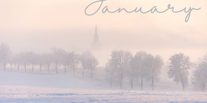 2560x1595 January 2019 Free Desktop Calendar/Wallpaper from Marmalead