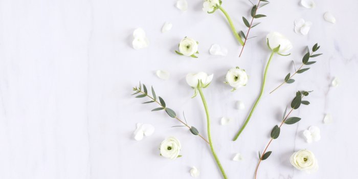 5064x3374 DIGITAL BLOOMS JANUARY 2017 | FREE DESKTOP WALLPAPERS - JustineCelina