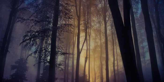 1920x1080 Spotlight Wallpapers