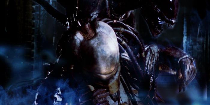 1024x768 AvP Wallpaper - AvPGalaxy's Gallery