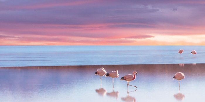 1838x1033 Windows Spotlight images arrive on WallpaperHub.app