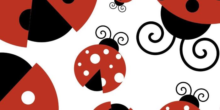 1080x1920 35+ Cute Ladybug Wallpapers - Download at WallpaperBro