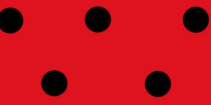 842x1500 Miraculous Ladybug Iphone wallpaper | Miraculous Ladybug Iphone