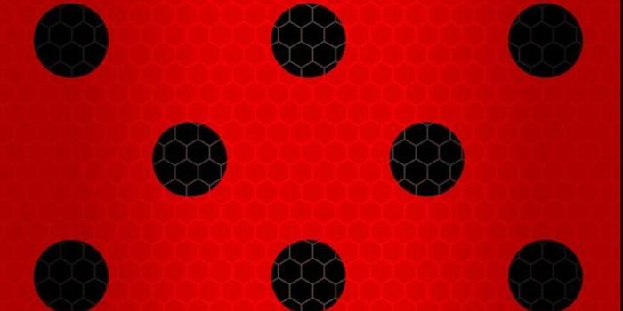 736x1236 18116 ladybug wallpaper