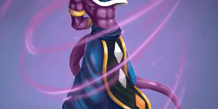 800x1244 Lord Beerus Wallpapers