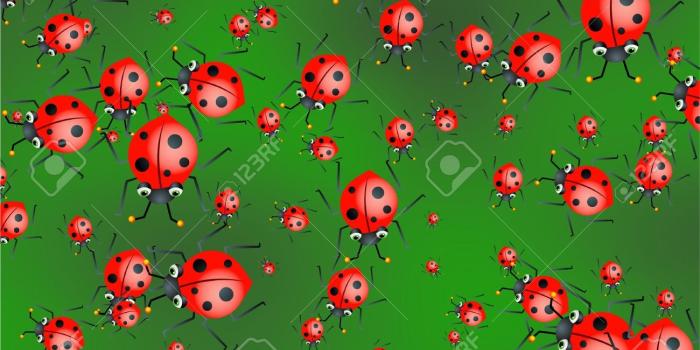 1300x975 Cute Ladybug Wallpaper | CNdaily | 1300x975 (195.69 KB)