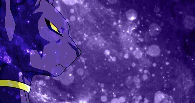 662x1206 Beerus Wallpaper (96+ images in Collection) Page 2