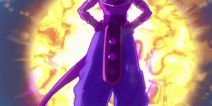 1033x1208 Lord Beerus Wallpapers