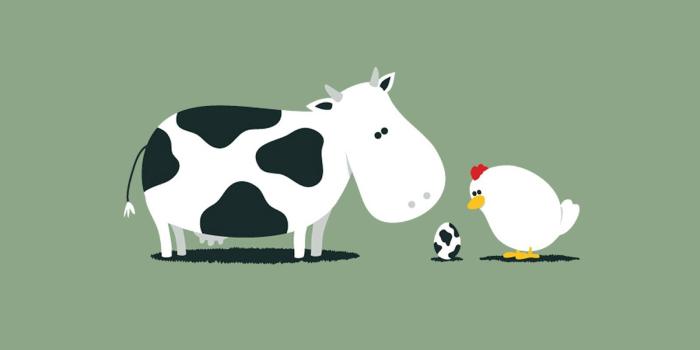 1600x1200 427 Funny HD Wallpapers | Background Images