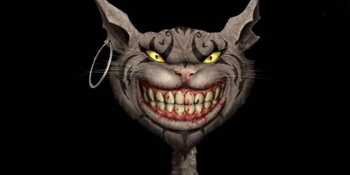 1024x768 Free download Funny Cat Wallpapers Funny Cat Pictures Desktop