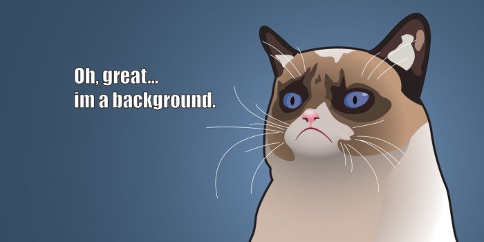 2560x1440 35+ Silly Cartoon Cat Wallpapers - Download at WallpaperBro