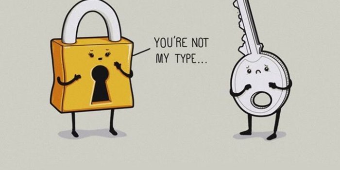 735x1202 Lock And Key - Funny iPhone wallpapers @mobile9 | Humor in 2019