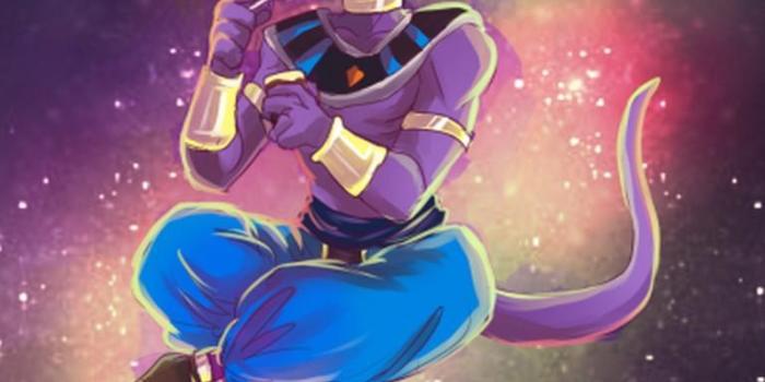 768x1024 Lord Beerus Wallpaper for Android - APK Download